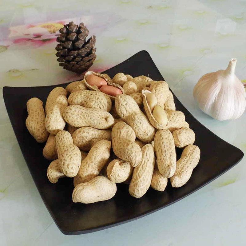 炒花生带壳原味铁锅炒熟新鲜晒干山东大花生5斤3生花生炒货