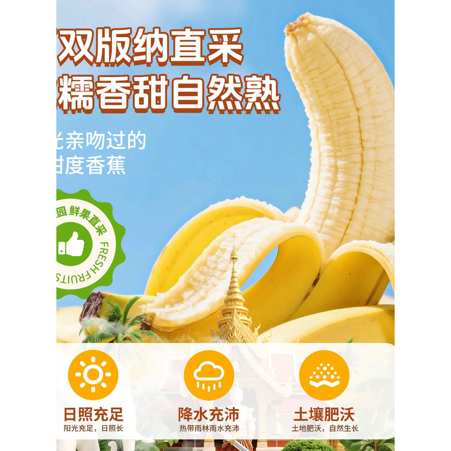 云南香蕉干原味芭蕉西双版纳特产非油炸香蕉片傣家手工水果干果脯