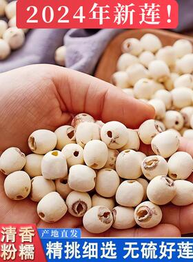 莲子乾货500g去芯白莲米中药材无芯特级连子粒湖南湘潭无硫磨皮