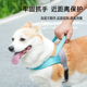 狗狗牵引绳马鞍式 宠物胸背带狗绳中大型犬柯基金毛外出专用狗链子