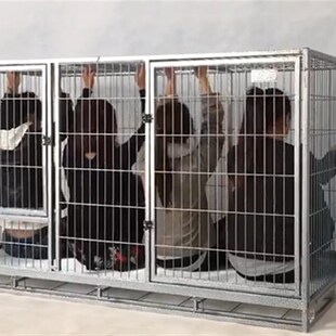 獒运笼具小中大型犬加粗狗笼子母产笼宠物笼德牧藏獒金毛法牛柯基