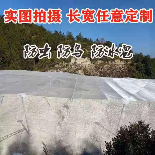 杨梅网罩樱桃防虫防风防鸟网水果树罩多肉莲雾桃树罗幔大棚专用罩