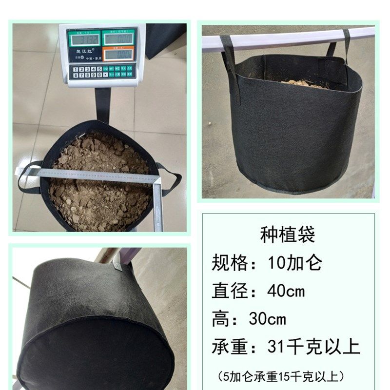 出口环保加仑袋无纺布阳台种植袋种树袋大花盆灰色美植袋加厚厂家,鲜花速递/花卉仿真/绿植园艺,花盆,淘宝优惠券,粉丝福利购,淘宝优惠卷