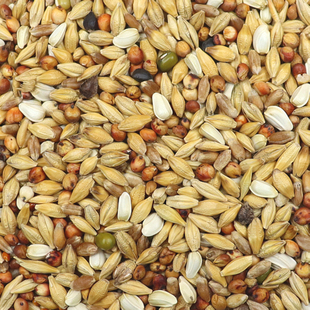 10斤装清除鸽粮鸽子食饲料信鸽换毛期专用幼鸽鸽粮鸟类鸟食