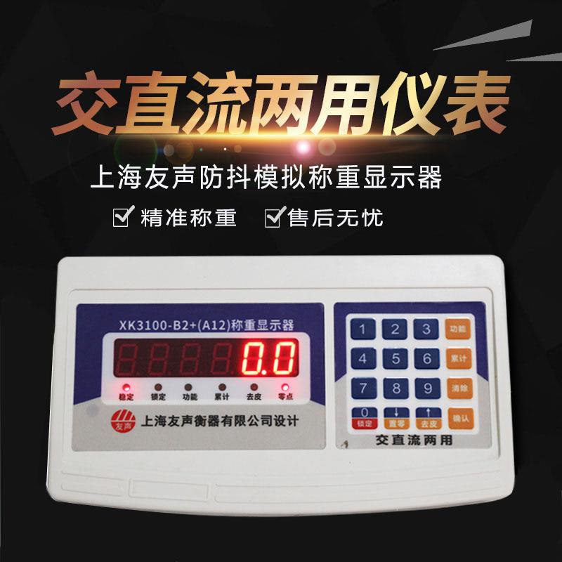 上海友声XK3100-B2+动物防抖仪表畜牧秤地磅台秤模拟显示器表头