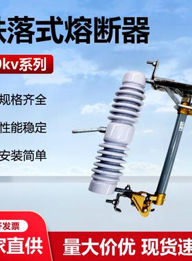 10kv户外高压跌落式熔断器RW12-15/100A保险RW11-10开关智能型