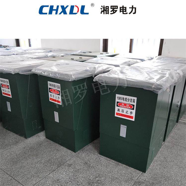 2.0厚不锈钢外壳原色10KV一进三出欧式电缆分支箱带电缆接头DFW