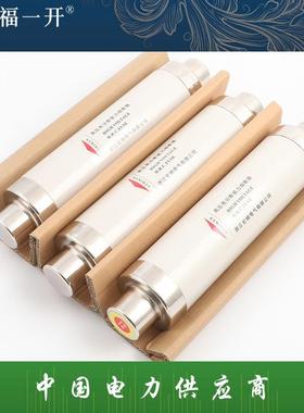 XRNT10-20-24KV35Kv16A40A50A63A高压高分断能力限流熔断器保险丝