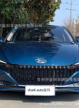 伊兰特ELANTRA2021中网改装件