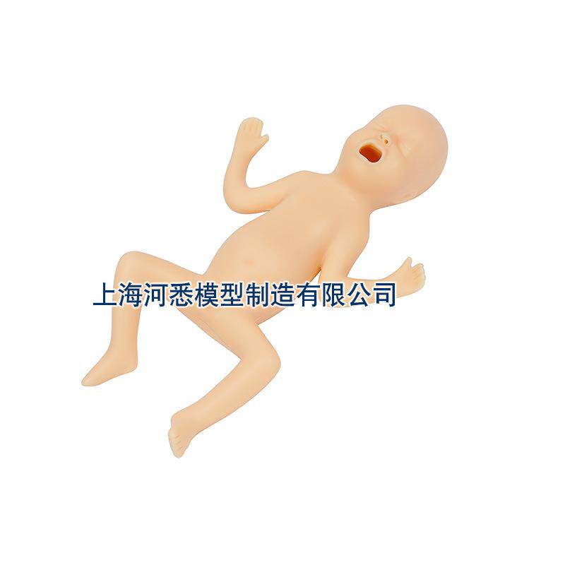 高级30周早产儿护理模型