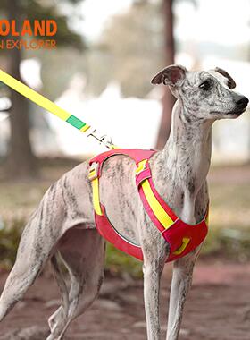 ZOOLAND狗狗胸背牵引绳遛幼小中大型犬泰迪柯基比熊边牧博美链子