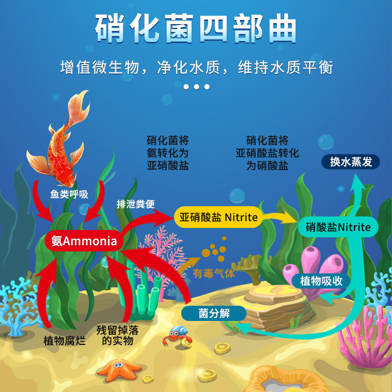 鱼缸净水剂净水改善底部降亚盐专用观赏鱼水族鱼池养鱼水质净化剂,宠物/宠物食品及用品,其他益生菌,淘宝优惠券,粉丝福利购,淘宝优惠卷