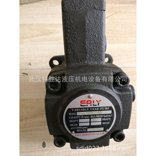 F15D F30D F30B F20D F45D F12D F40C 液压泵VPEA F40D