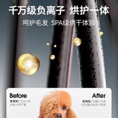 鸟语花香宠物烘干箱全H4自动猫咪狗狗洗澡烘干机家用吹风机吹水机