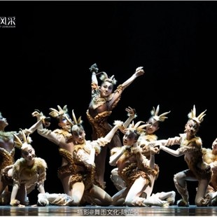 新款元旦儿童藏羚羊演出服森林精羚舞蹈服儿童斑羚飞渡舞蹈表演服