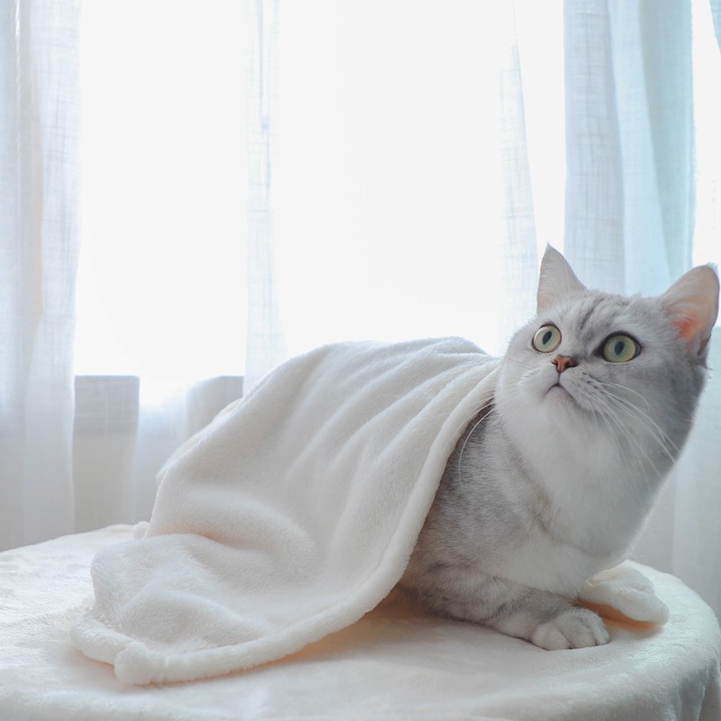 陪士奇宠物毛毯猫垫狗垫棉垫法兰绒冬天保暖易清洗加厚狗狗被子