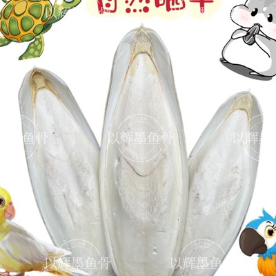 鹦鹉大墨鱼骨切块磨牙补钙仓鼠玄凤虎皮牡丹鸟粮饲料零食啃咬玩具