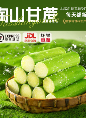 陶山甘蔗 新鲜孕妇水果现砍现发青皮果蔗 手撕绿皮甘蔗 皮薄多汁