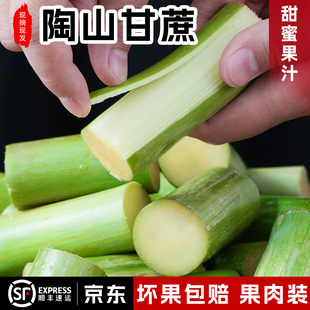 正宗农家陶山甘蔗青皮当季新鲜水果手撕果蔗温州绿皮3-5斤果肉装