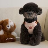 狗狗牵引绳可调节胸背带小型犬遛狗绳透气舒适狗链泰迪比熊博美