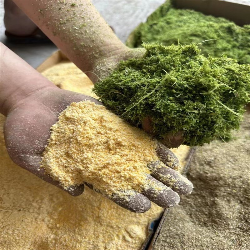 多功能超细碎牧草打浆机粉碎机干湿两用切猪草机打浆机猪用打浆机