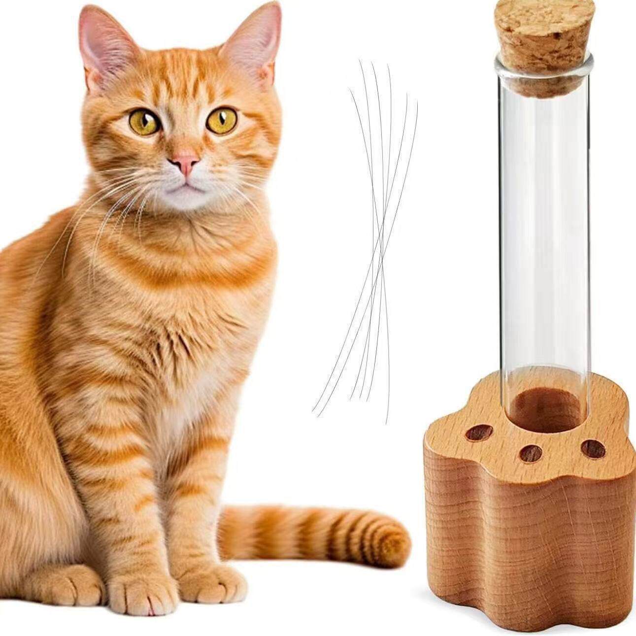 跨境木质猫咪胡须毛发收集纪念盒试管底座宠物毛发收藏容器支架