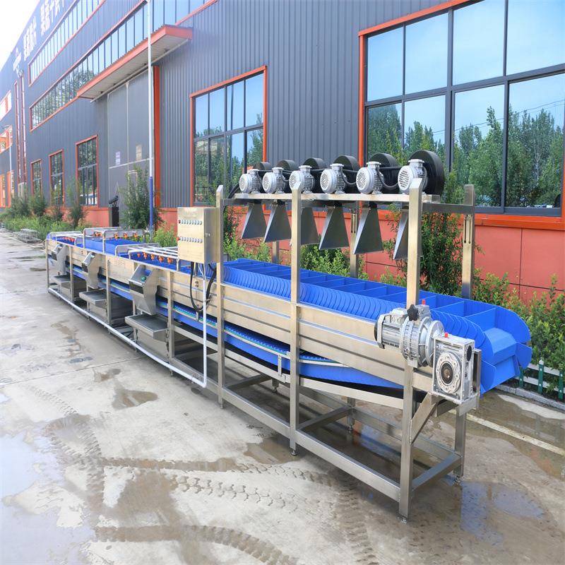 莲藕清洗去皮设备牛蒡清洗机果蔬加工设备厂家龙虾气泡喷淋清洗机