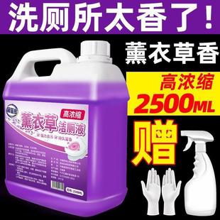洁厕灵液留香马桶清洗剂除臭去异味厕所清洁剂强力除尿垢去污去黄