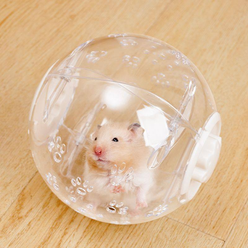 仓鼠跑球跑轮滚轮静音运动球支架金丝熊松鼠用品跑步球滚球户外球,宠物/宠物食品及用品,玩具/造景装饰,淘宝优惠券,粉丝福利购,淘宝优惠卷