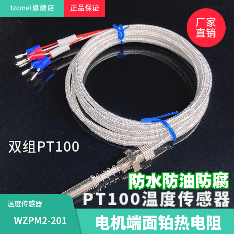 WZPM2-201端面热电阻双支铂热电阻电机测温探头PT100热电阻轴承测