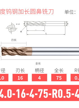 60度钨钢加长圆鼻铣刀4 6 8 10R1*100 12R2*100mm圆弧铣刀4R1*75