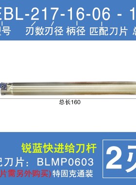 快进给铣刀杆TEBL高进给TEMBL铣刀盘特固克通装双面刀片BLMP0603
