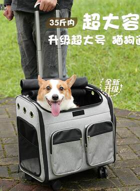 宠物拉杆箱狗狗外出包小