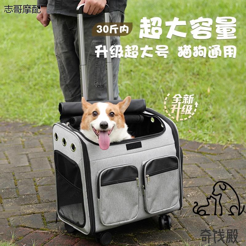 宠物拉杆箱猫狗外出包小