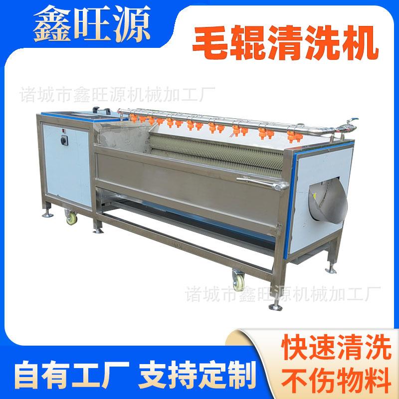 全自动毛刷红薯去皮机毛辊土豆去皮清洗机大型工业洗姜清洗机