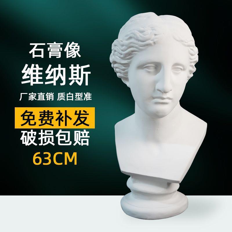 绘岳63cm维纳斯胸像美术石膏人物头像素描石膏像静物美术配套器材