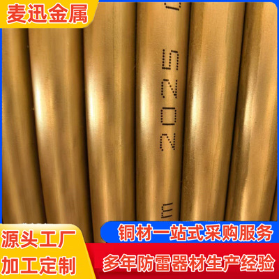 路基接地分支引接线 SDH35环保型合金护套贯通地线SDH70 路基接地