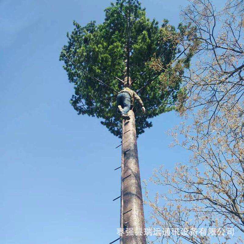 生产仿生树仿真通信基站仿真树仿真信号塔基地松树铁塔仿生树