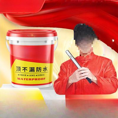 沃特浦防水涂料屋顶裂缝补漏材料房顶平房漏水外墙楼顶防漏胶