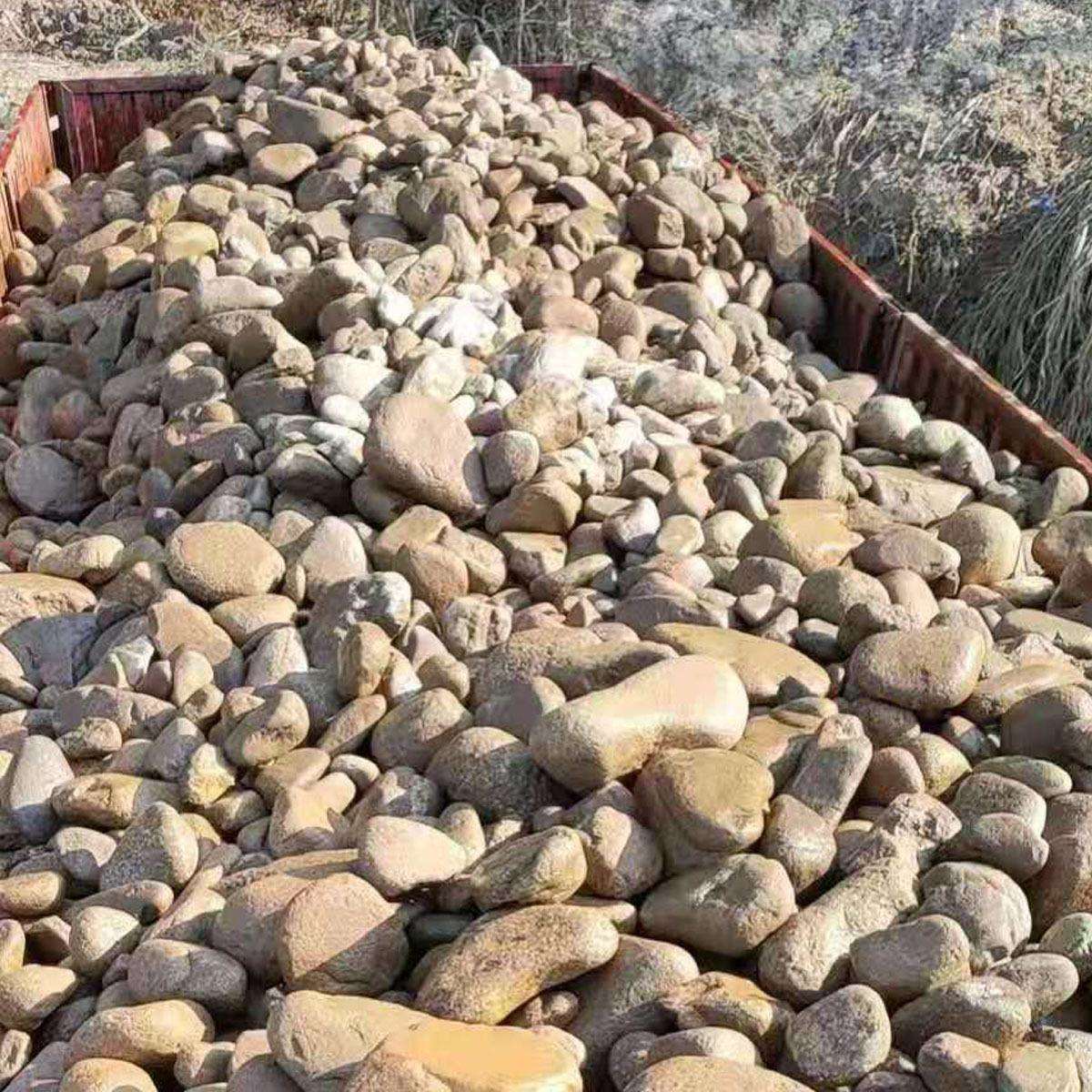 鹅卵石园林景区公园铺路石子河沙石江溪水冲洗石头鹅软石
