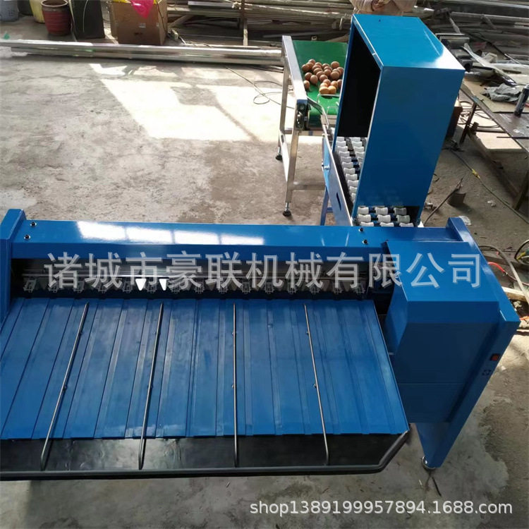 鸡蛋分级机 按重量分选大小 精准度高 适合蛋品加工行业