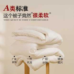 棉被芯 A类软糯糯30%大豆纤维春秋被子家用加厚保暖冬被单双人四季