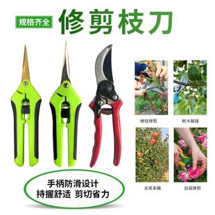 多功能手修剪树枝果树园艺剪刀 园林剪刀 花艺剪枝剪刀工具厂家