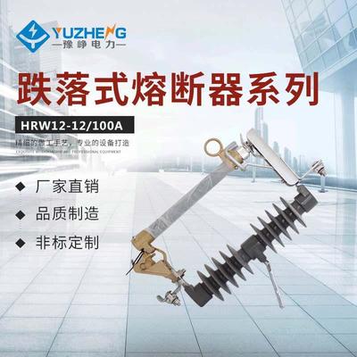 户外熔断器跌落式熔断器HRW12-12/100A复合硅橡式高压熔断器