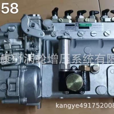 喷油泵101605-9830101062-8220和101605-0390898175-9510