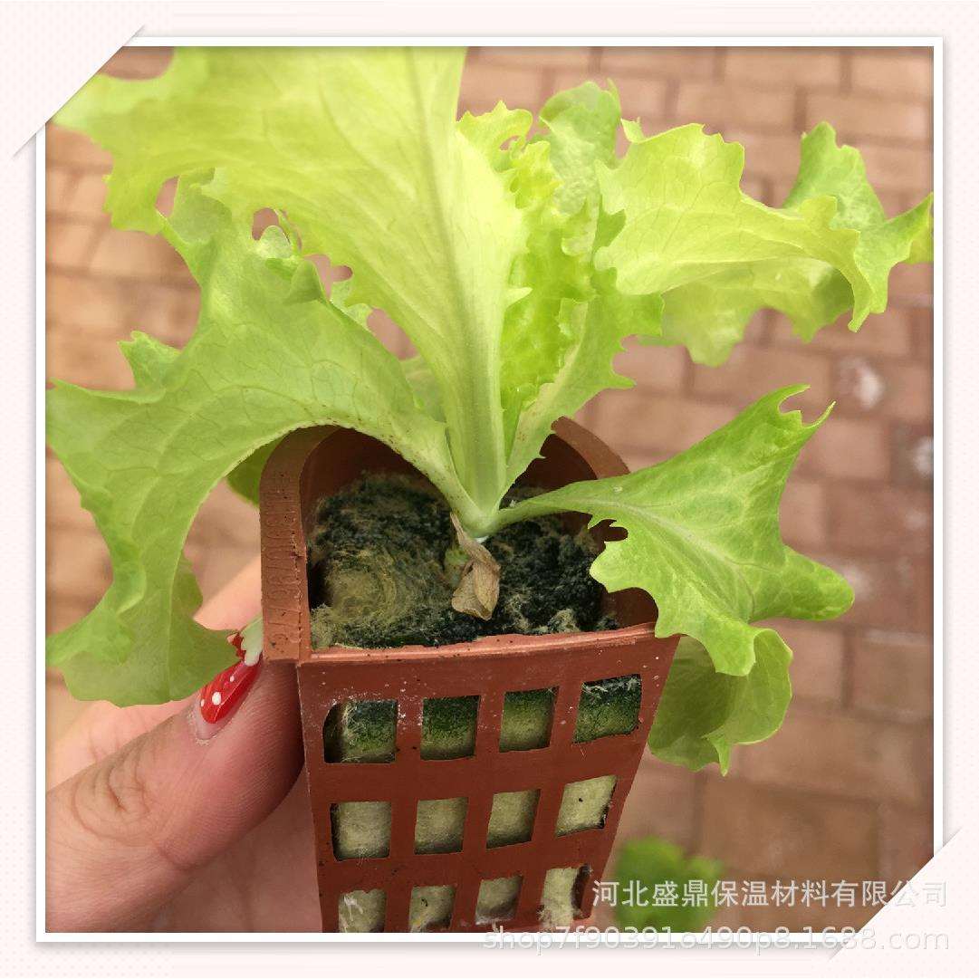 无土栽培出口外贸种植岩棉定植块育苗基质绿植