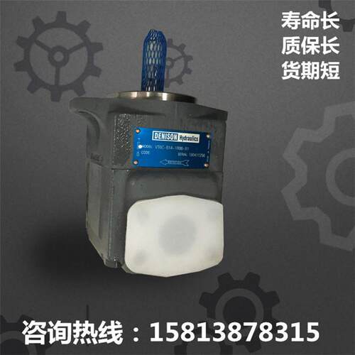 丹尼逊液压油泵T6C/T6D/T6E/T7B/T7BS叶片泵DENISON泵芯配件