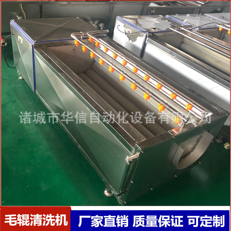 毛刷式果蔬清洗机诺丽果清洗机器产品清洗风干烘干生产流水线