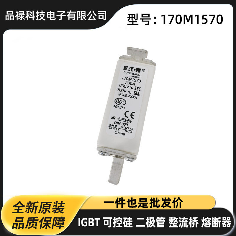 170M4867D 170M5808D 170M5809D 170M5810D原厂陶瓷熔断器 保险丝