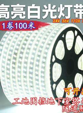 led灯带100米220V户外工程照明户外防水养殖塔吊工地地下室24V36V
